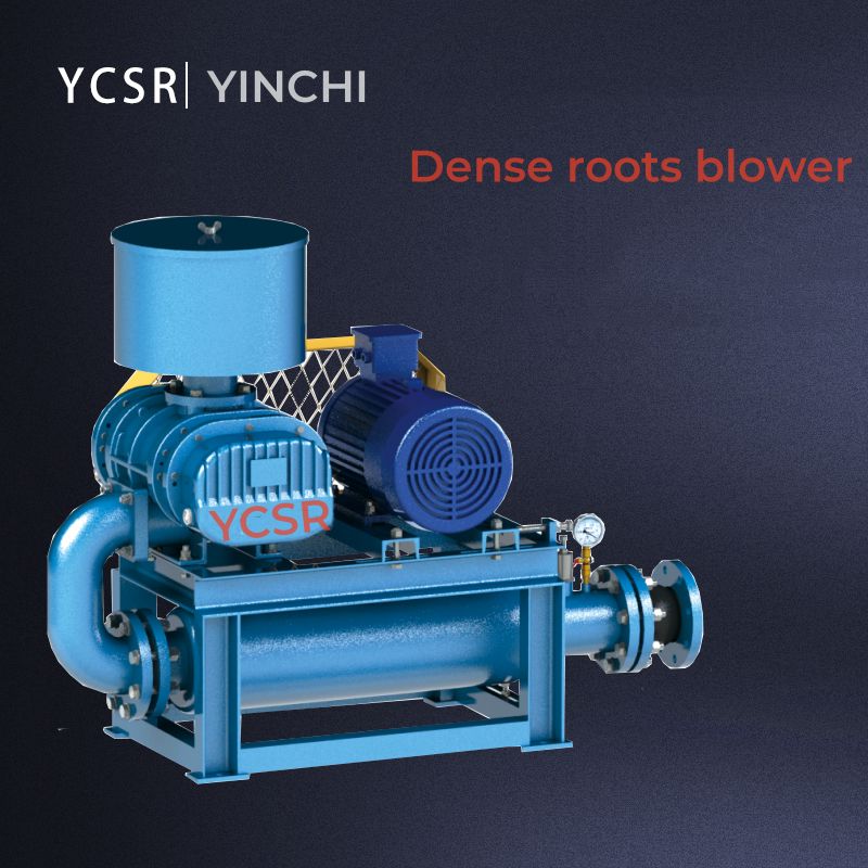 Dense Type Roots Pump Vacuum