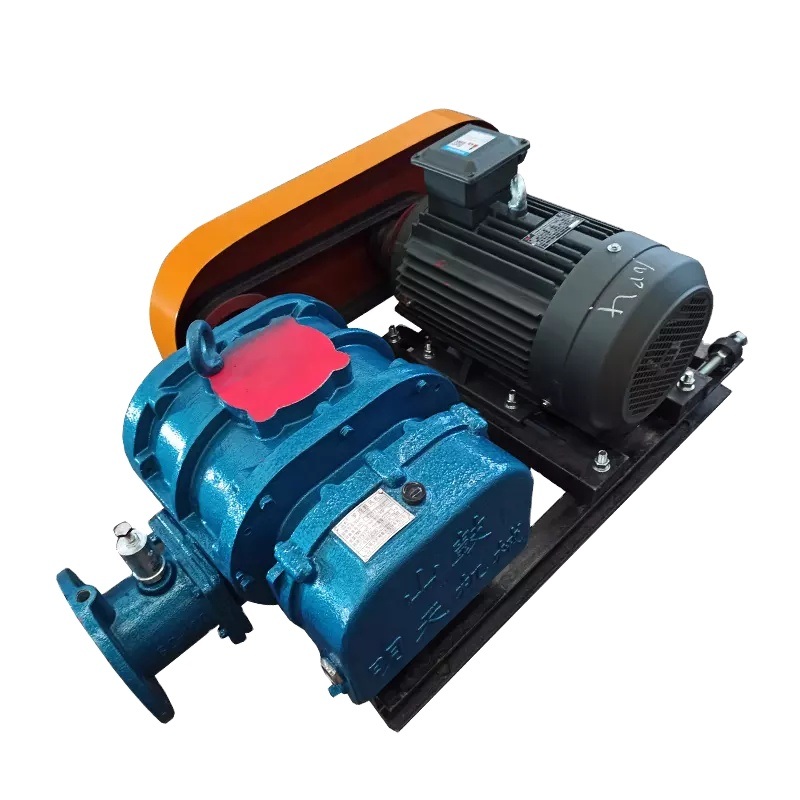 Roots Blower Pump Vacuum